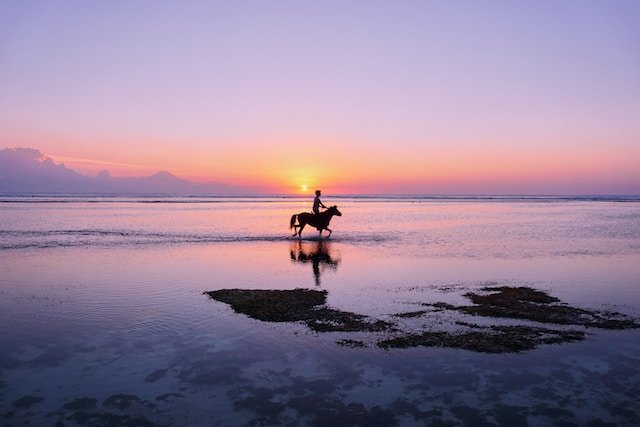 federico-enni-75HO6lhwuk4-unsplash